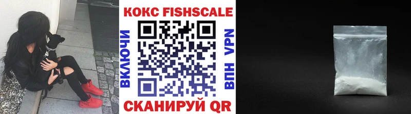 Купить где  Дмитриев  COCAIN Columbia 