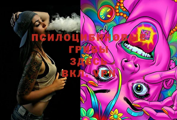 jwh Белокуриха